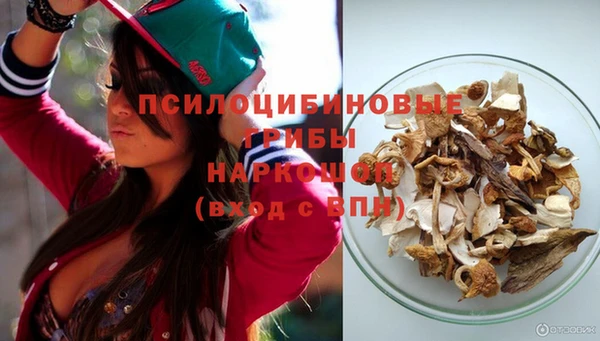 дживик Волоколамск
