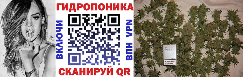 MEGA сайт  Исилькуль  Бошки марихуана план  цены наркотик 